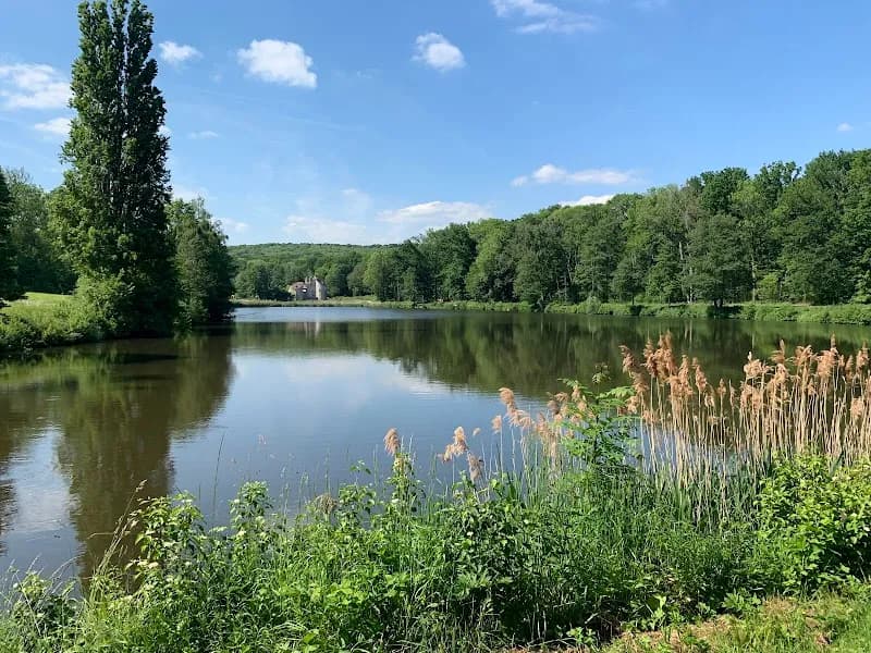 View of Forêt Domaniale de Montmorency in Montmorency, IDF