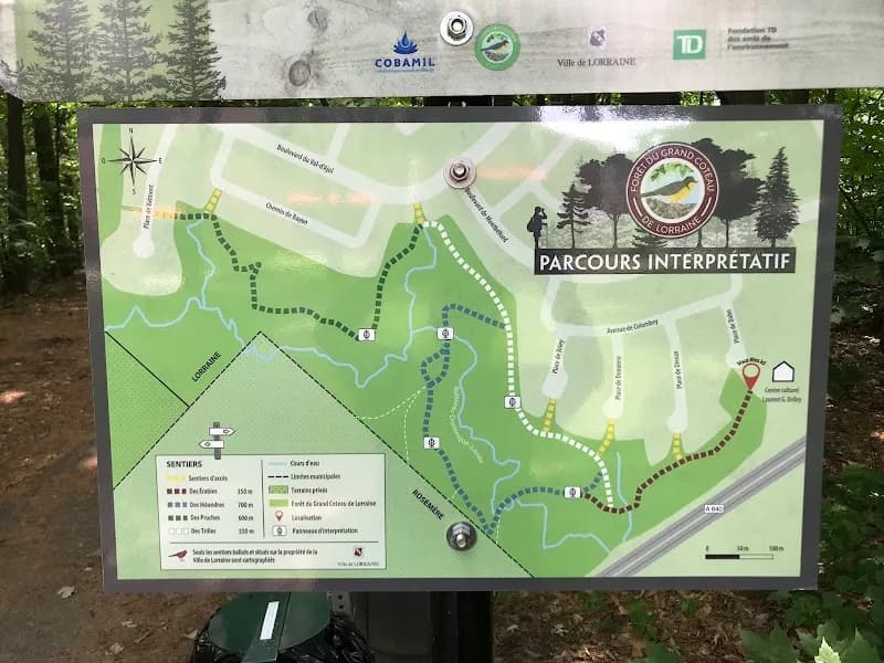 View of Forêt du Grand Coteau in Rosemère, QC