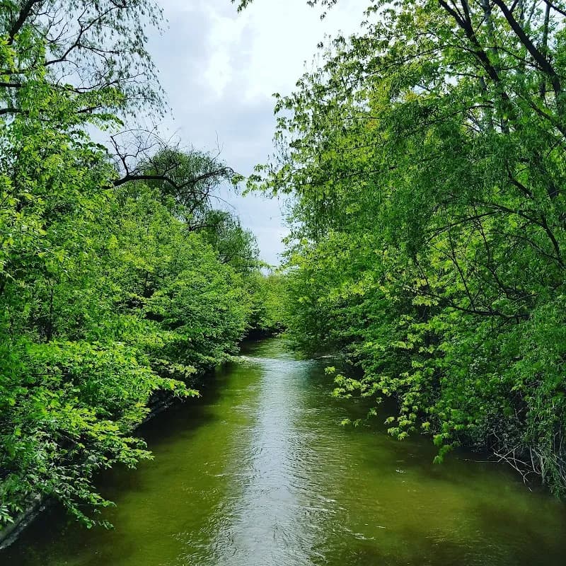 View of Ford Field Park in Wyandotte, MI