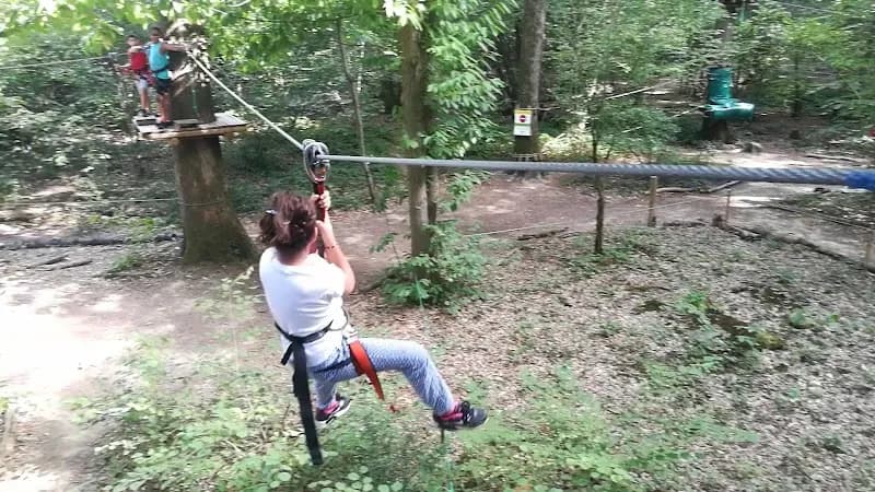 View of Forest Arena | Parc de loisirs IDF | Accrobranche 77 in Melun, IDF