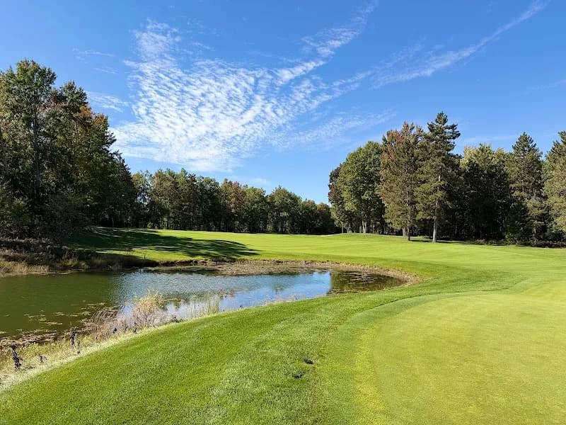 View of Forest Dunes Golf Club in Roscommon, MI