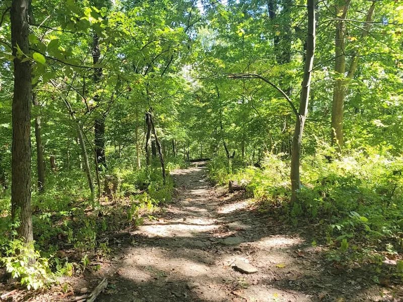 View of Fort Thomas Landmark Tree Trail in Fort Thomas, KY