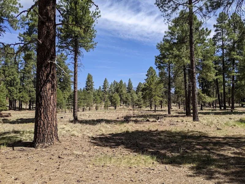 View of Fort Tuthill County Park in Flagstaff, AZ