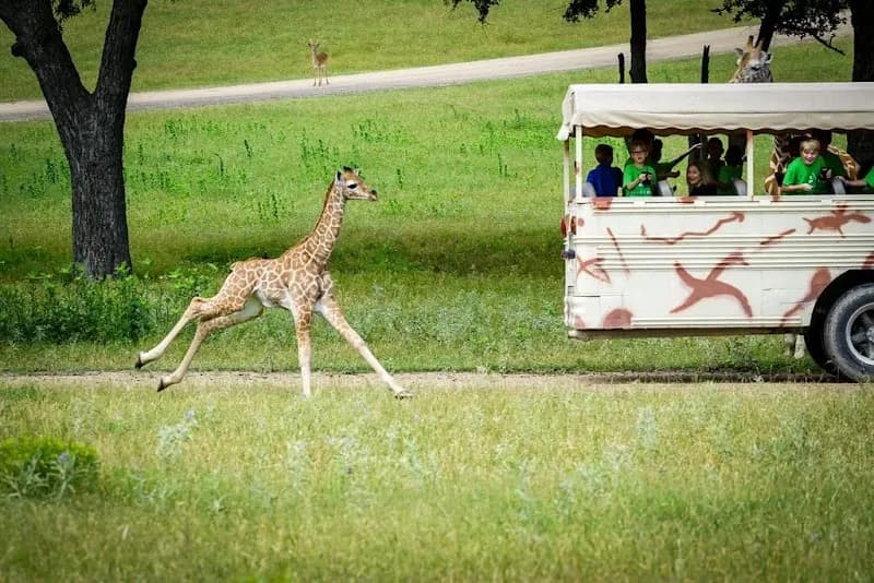 Fossil Rim Wildlife Center nature preserve in Phoenixville, PA