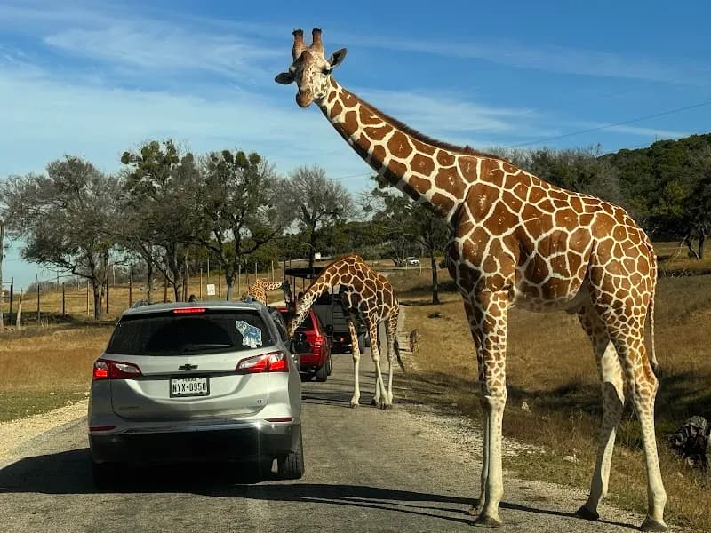 View of Fossil Rim Wildlife Center in Phoenixville, PA