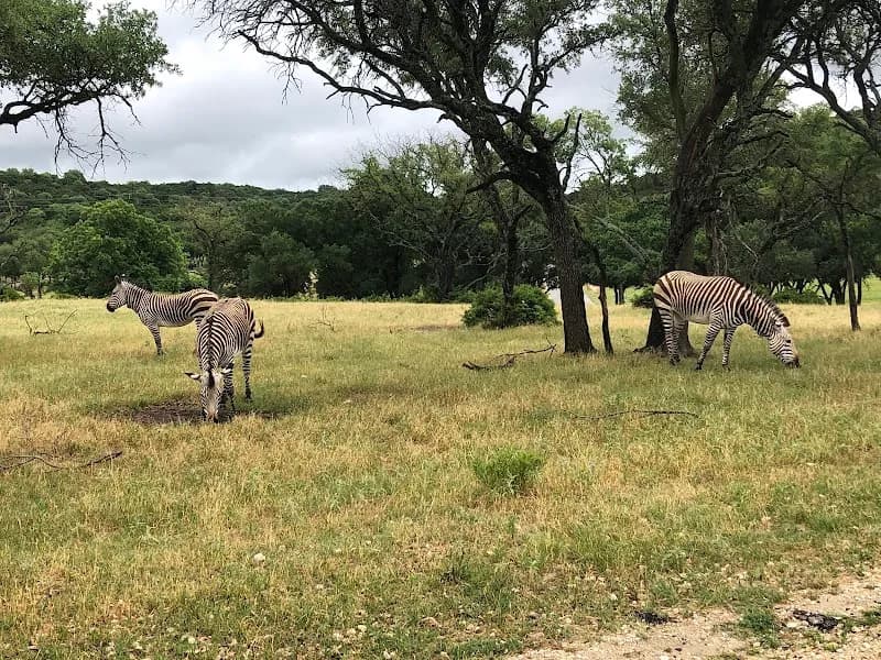 View of Fossil Rim Wildlife Center in Phoenixville, PA