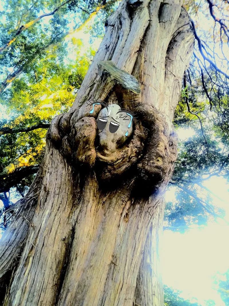 View of Founders Cemetery in Roswell, GA