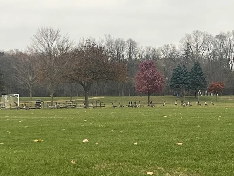 Founders Sports Park park in Farmington Hills, MI