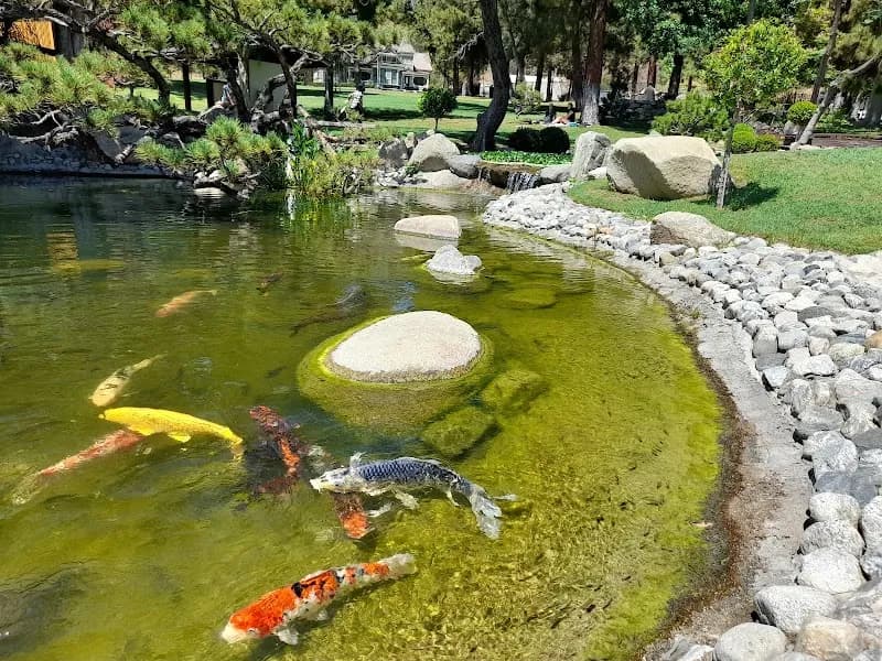Friendship Garden and Japanese Tea House park in Glendale, CA
