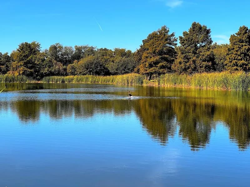 View of Frisco Commons Park in Frisco, TX