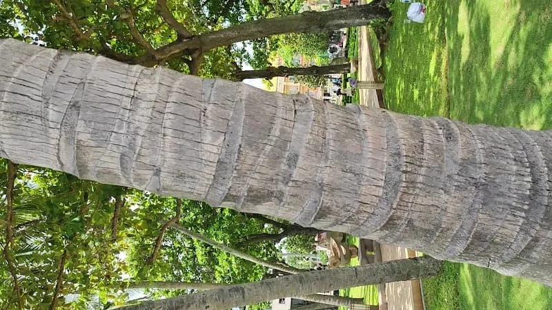 View of Front Beach Park in Vung Tau, HCMC