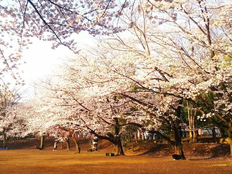 Fuchu Park city park in Kunitachi, Tokyo