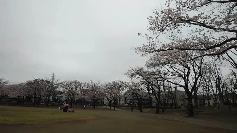 View of Fuchu Park in Kunitachi, Tokyo