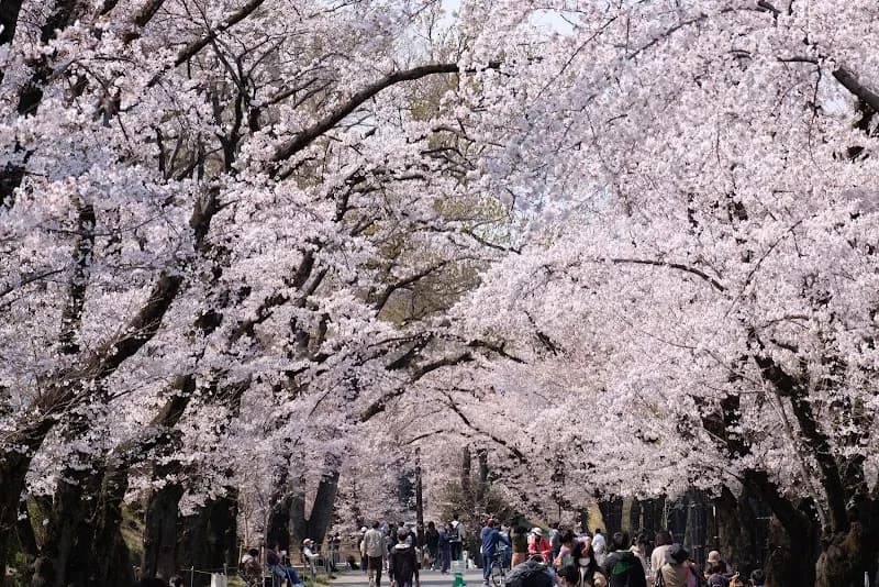 Fujimori Park park in Hachioji, Tokyo