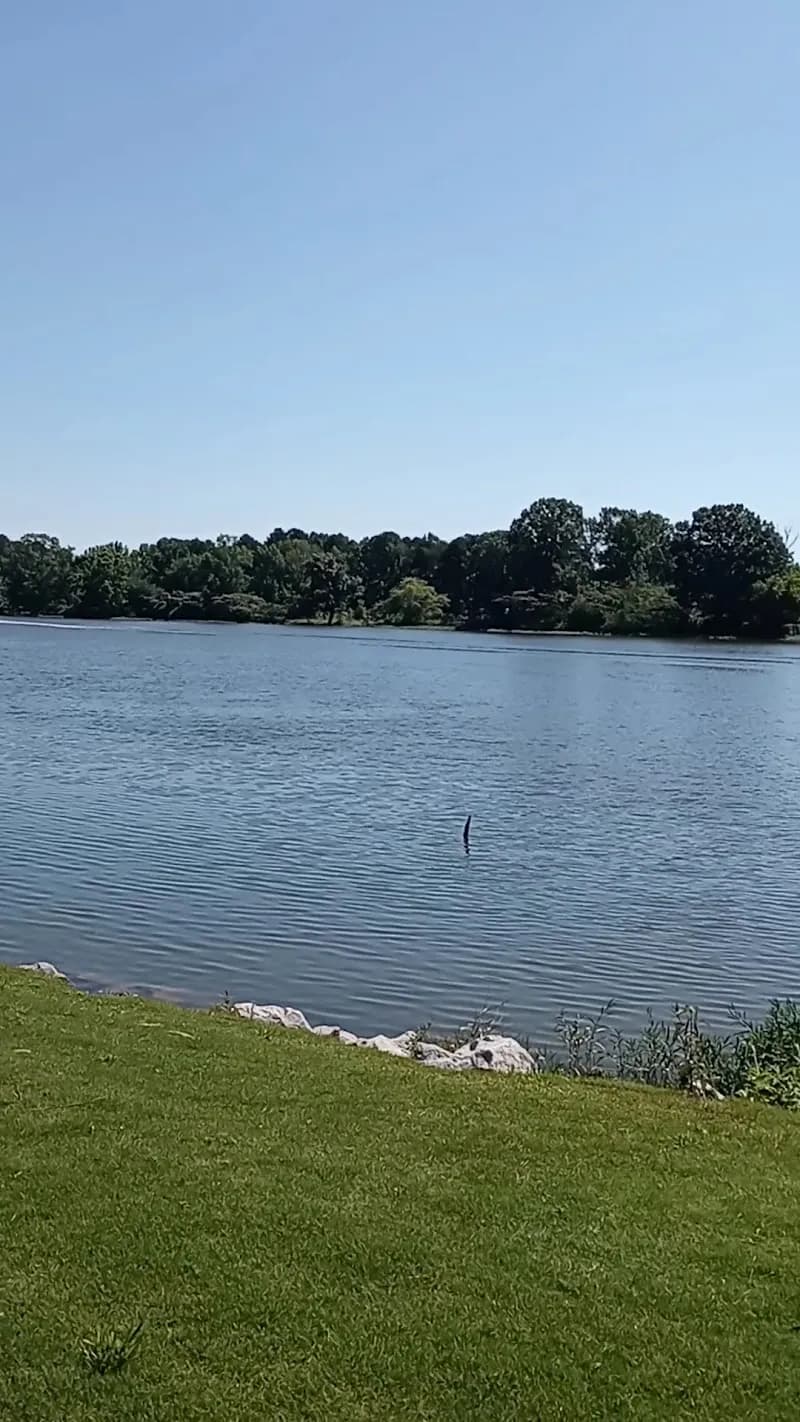 View of Gadsden Splash Pad in Gadsden, AL