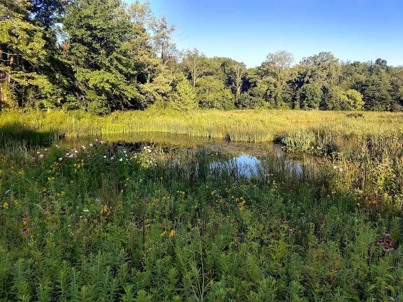 View of Gahanna Woods State Nature Preserve in Gahanna, OH