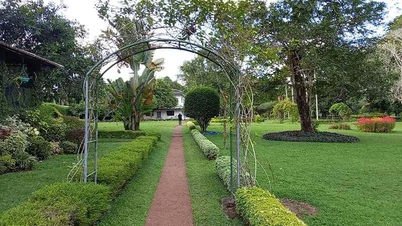 View of Gampaha Botanical Garden in Nugegoda, WP