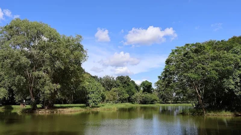 View of Gampaha Botanical Garden in Nugegoda, WP