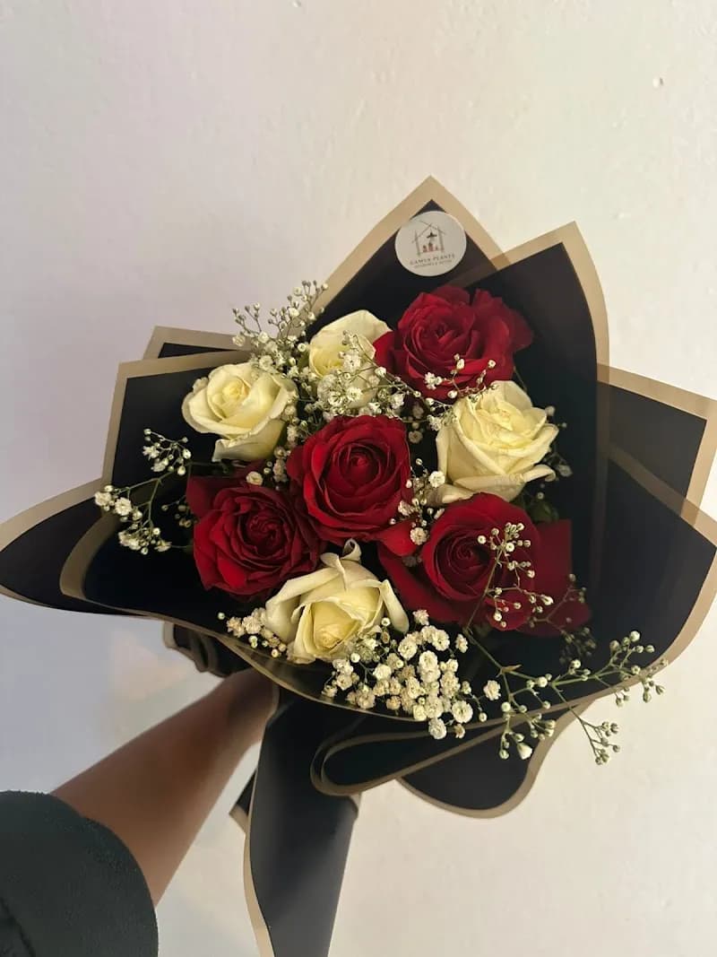 View of Gamya Plants in Dhulikhel, Bagmati