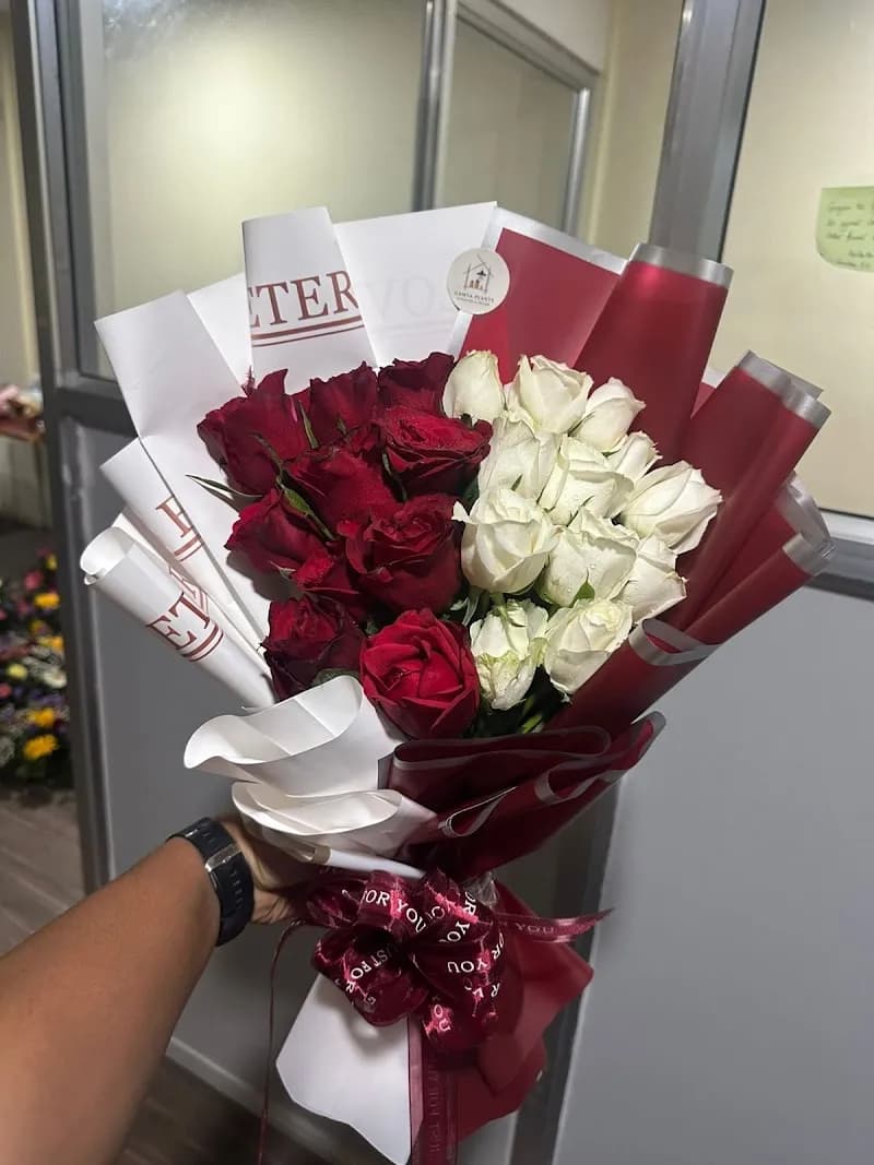 View of Gamya Plants in Dhulikhel, Bagmati