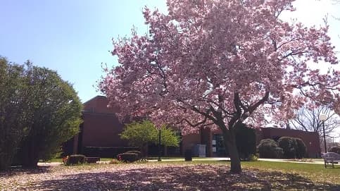 Garden City Public Library library in Garden City, NY