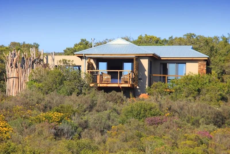 Garden Route Game Lodge Nature Reserve nature in Knysna, WC