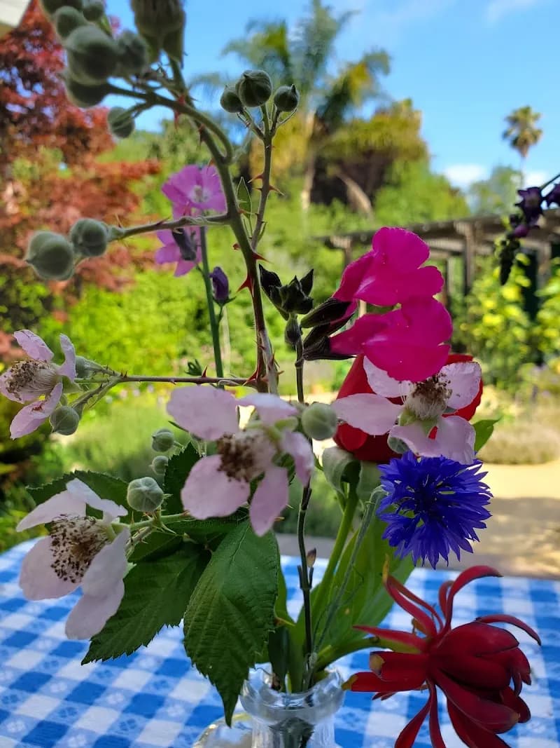 View of Garden Sense, Inc. in Menlo Park, CA