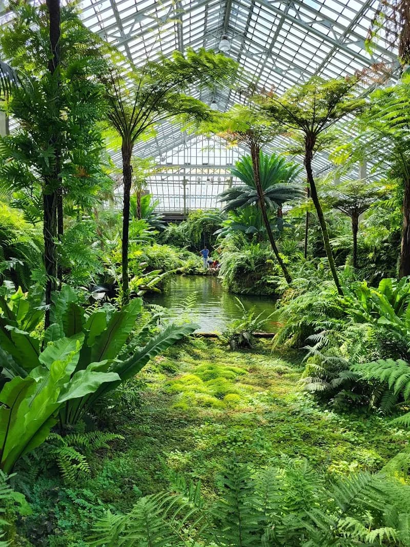Garfield Park Conservatory botanical garden in Chicago, IL