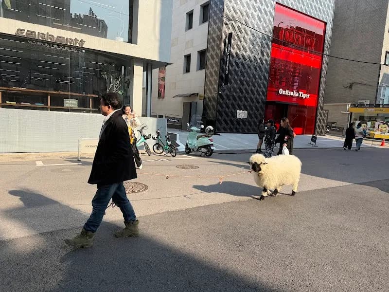 View of Garosu-gil in Apgujeong, SE