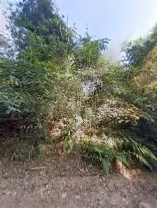 View of _ Garrao Xerem in Duque de Caxias, RJ