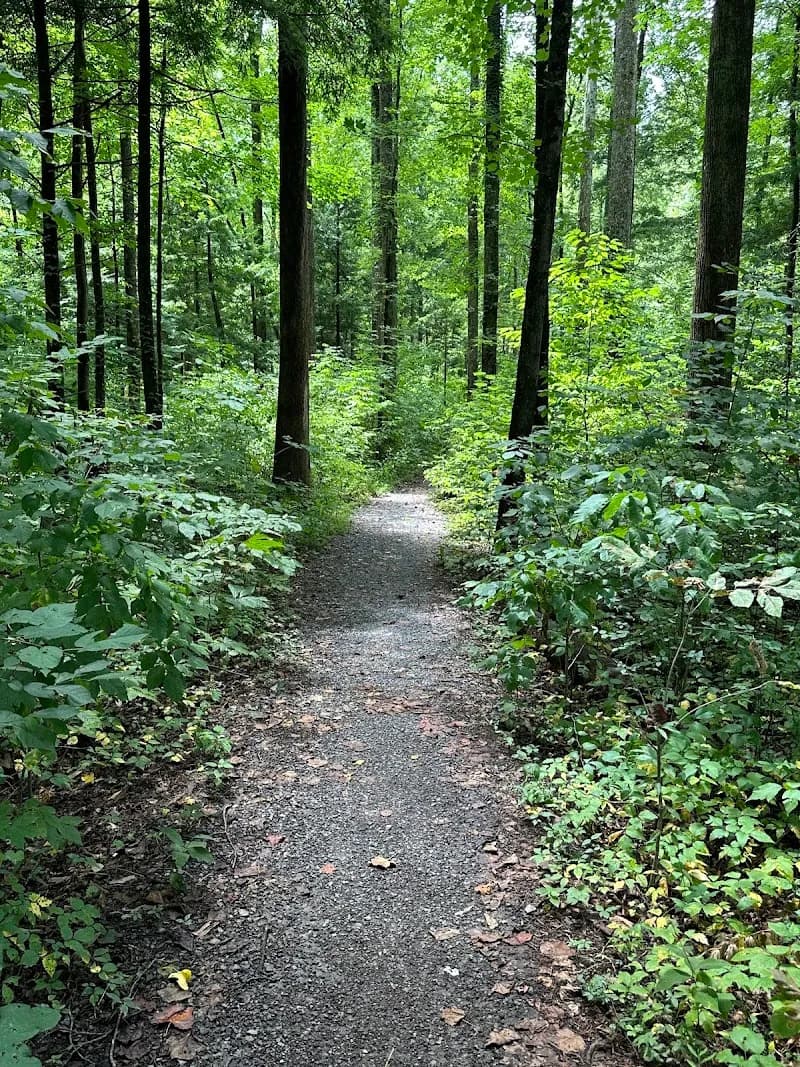 View of Gatlinburg Trail Trailhead in Gatlinburg, TN