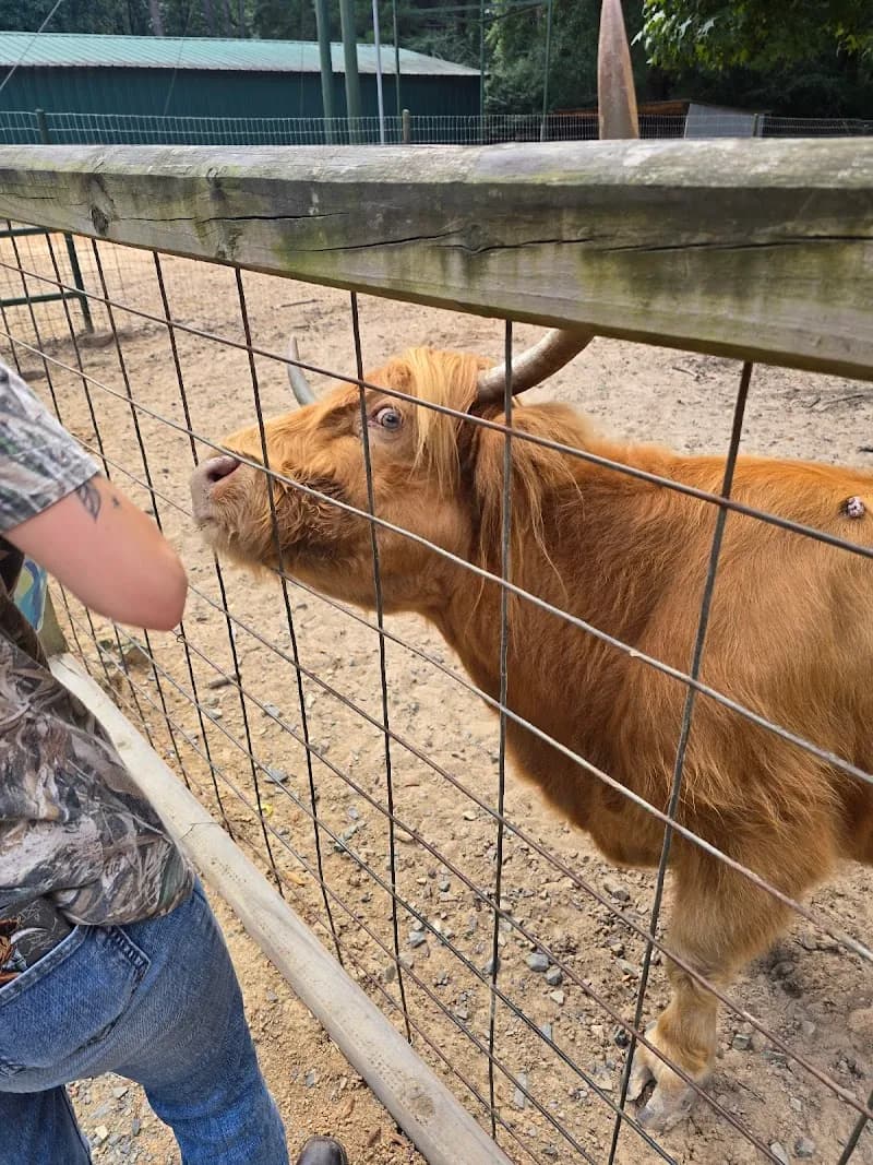 View of Gators and Friends in Shreveport, LA