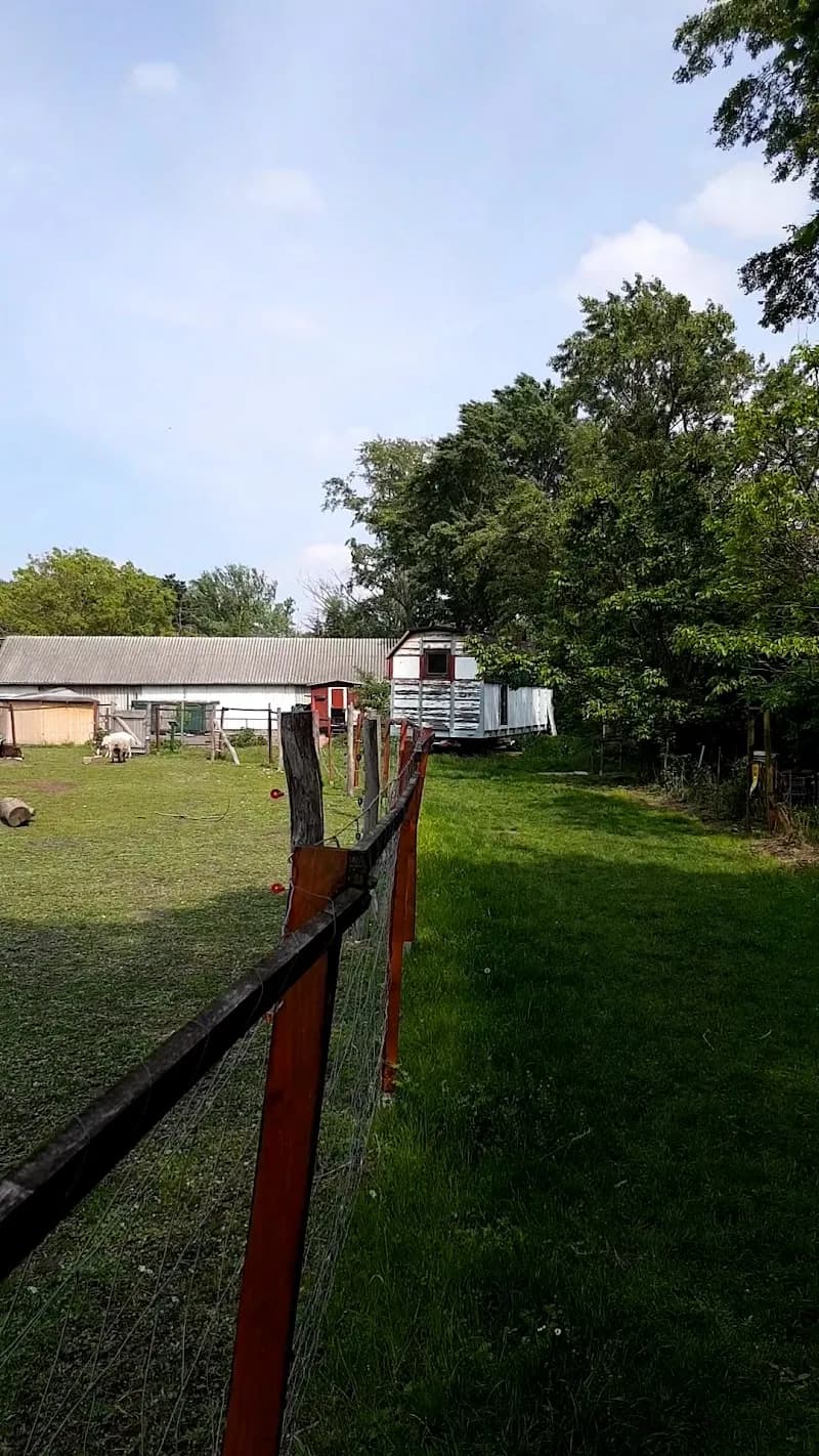 View of Gemeinschaftshof der KLEINEN STADTFARM in Aspern, VIE