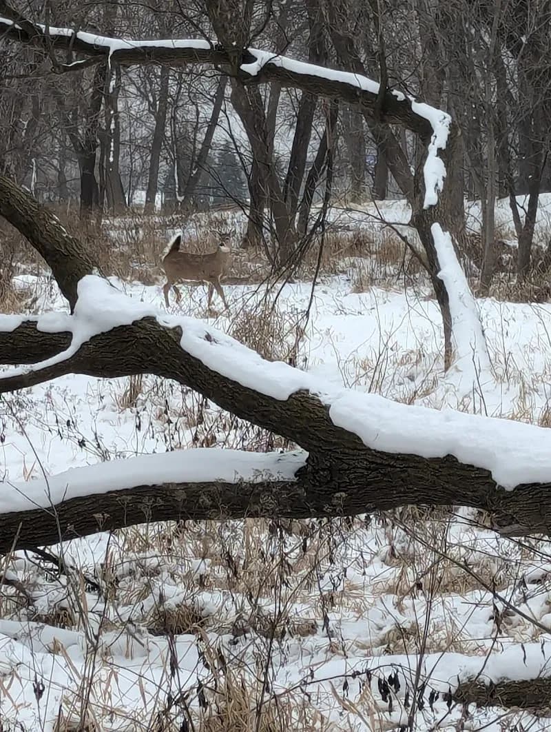 General Mills Nature Preserve nature preserve in Golden Valley, MN