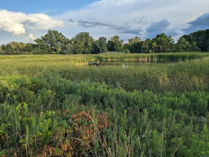 View of General Mills Nature Preserve in Golden Valley, MN