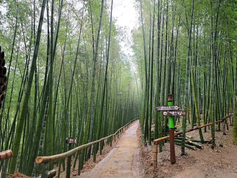 Geoje Maengjongjuk Theme Park tourist attraction in Geoje-si, Busan