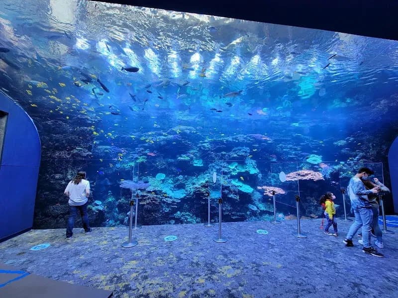 View of Georgia Aquarium in Atlanta, GA