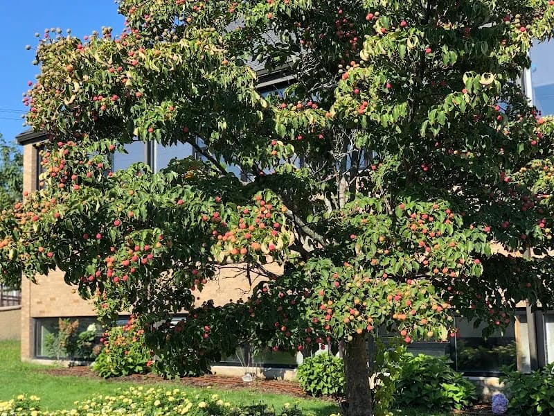 View of Germantown Neighborhood Center in Quincy, MA