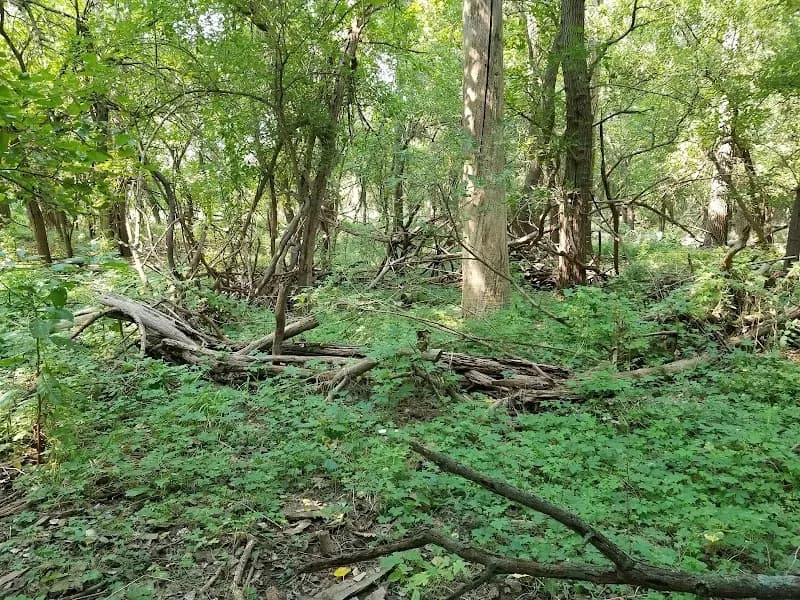 View of Gifford Point WMA in Bellevue, NE
