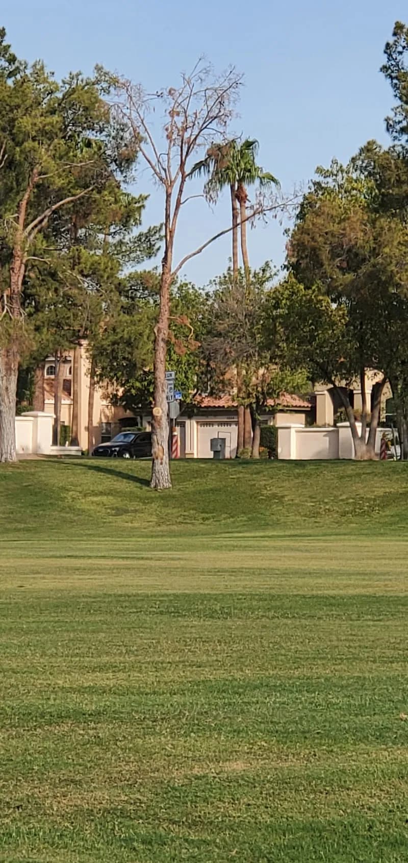 Gilbert Parks & Recreation sports activity location in Gilbert, AZ