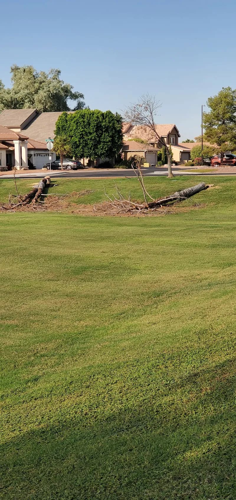 View of Gilbert Parks & Recreation in Gilbert, AZ