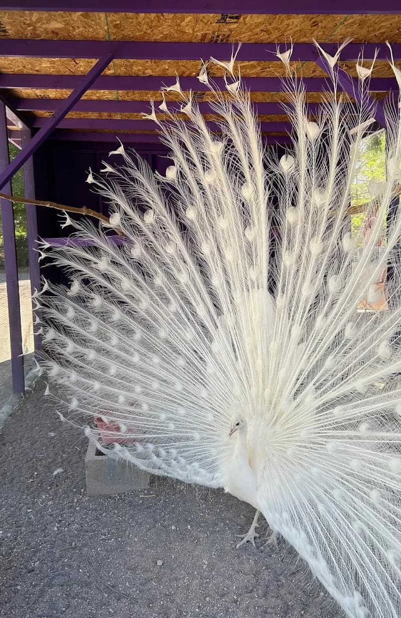 Gilcrease Nature Sanctuary nature preserve in Henderson, NV