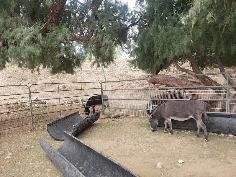 View of Gilcrease Nature Sanctuary in Henderson, NV