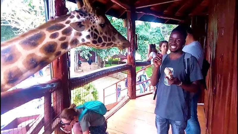 View of Giraffe Centre in Nairobi, NBO