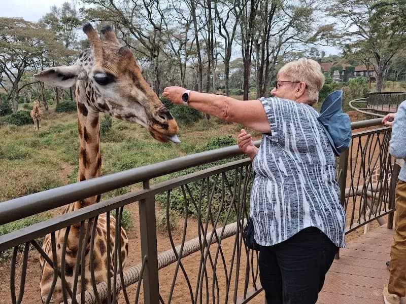 View of Giraffe Centre (nearby Langata) in Muthaiga, Nairobi