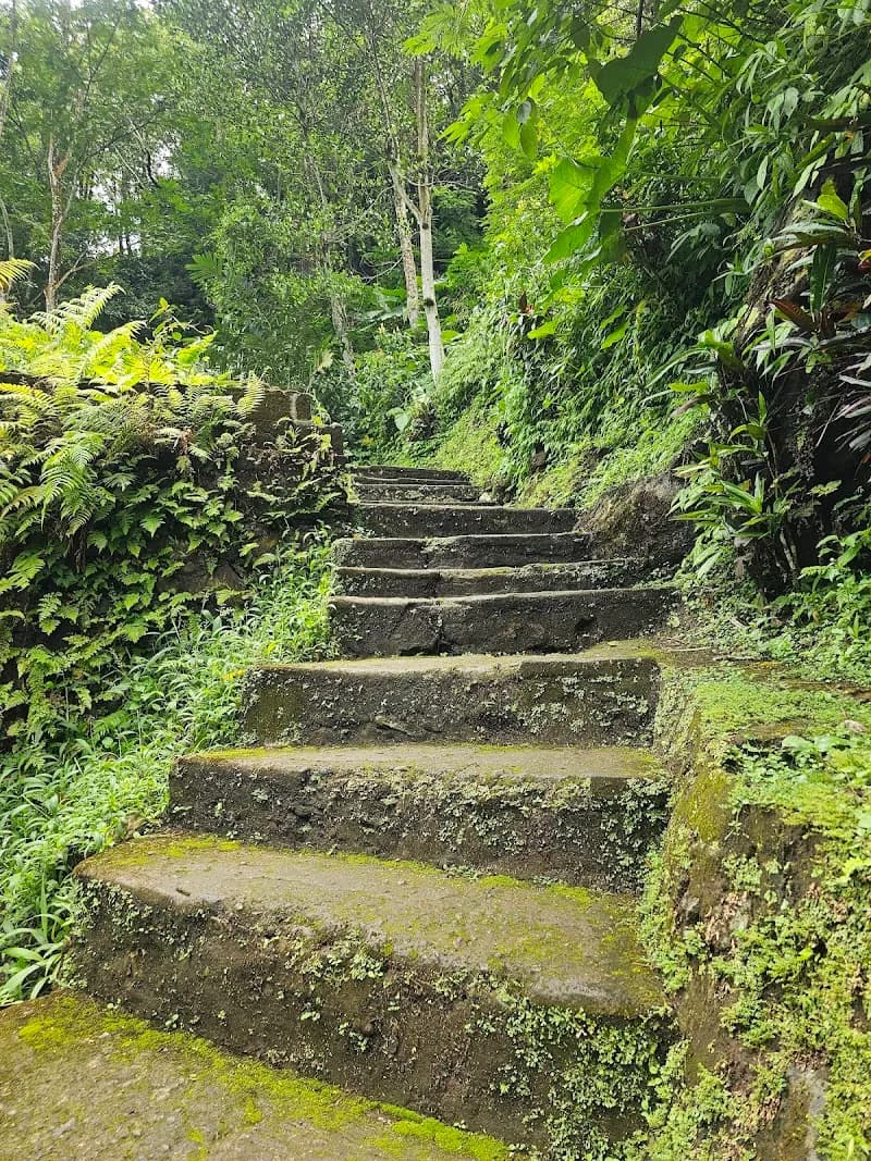 View of Gitgit Waterfall in Lovina, Bali