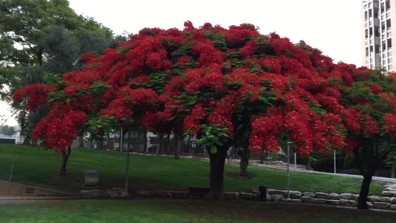View of Giv'atayim Park in Givatayim, TA