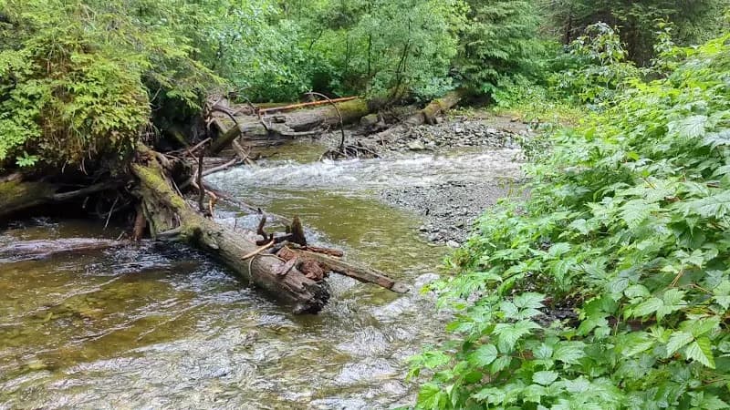 View of Glacier Point Wilderness Resort in Juneau, AK