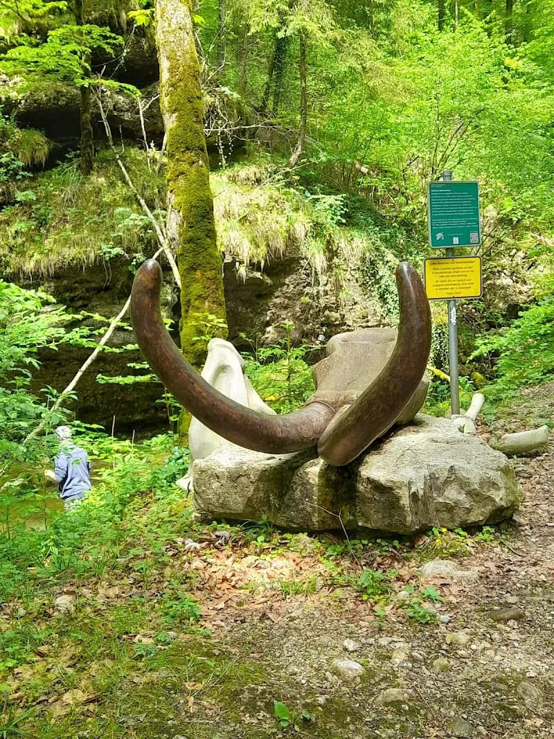 View of Glasenbachklamm in Elsbethen, Salzburg