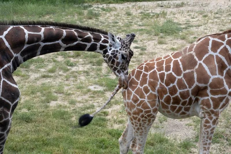 View of Glen Oak Park in Wilmette, IL